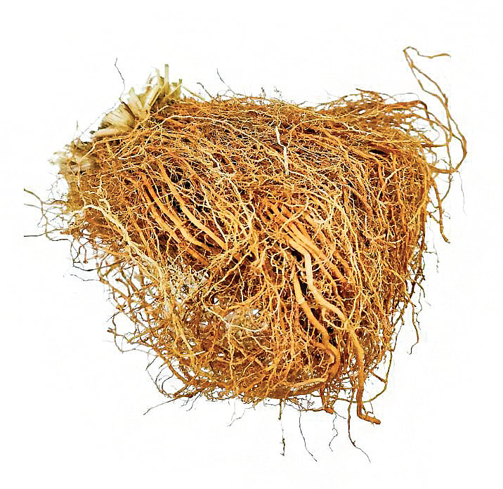 தெரிந்துகொள்ளுங்கள்!மூலிகைகளின் மகத்துவம்...