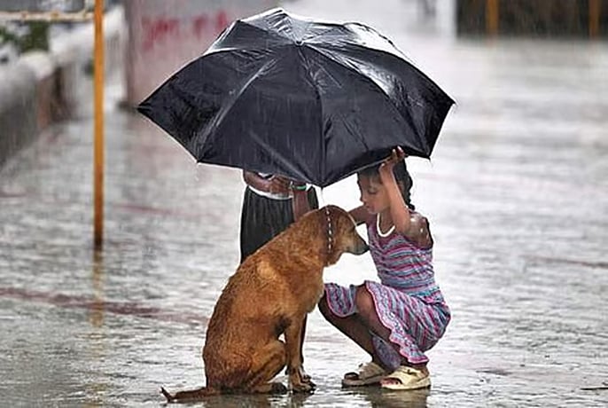 மனிதம் சொல்லும் மரபு!