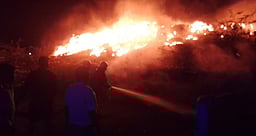 தில்லி கிடங்கில் தீ விபத்து: உயிரிழப்பு எதுவும் இல்லை