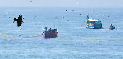 மீன் வள மேலாண்மை அவசியம்!