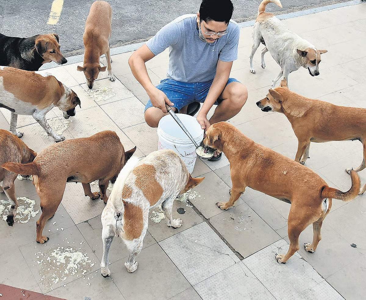 News image