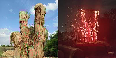 காஞ்சிபுரம் அருகே மறுநடவு செய்து துளிர்த்து வந்த அரச மரத்துக்கு தீ வைப்பு!