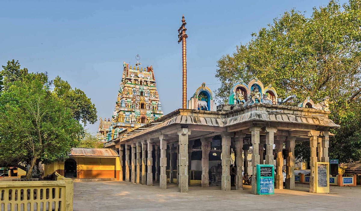 தெய்வ தரிசனம்... பணத் தட்டுப்பாடு நீக்கும் திருவாவடுதுறை மாசிலாமணீஸ்வரர்!