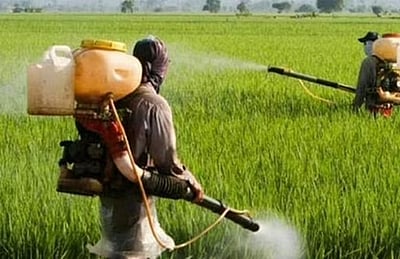 பயிா் உற்பத்தியை மேம்படுத்த ரூ.24,000 கோடி திட்டம்: மத்திய அமைச்சரவை ஒப்புதல்