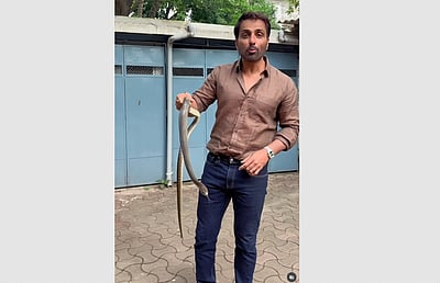 பாம்பை வெறும் கைகளால் பிடித்த பாலிவுட் நடிகர் சோனு சூட் !  