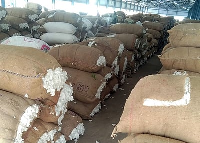 சுங்க வரி இன்றி பருத்தி இறக்குமதி: செப்.30 வரை மத்திய அரசு அனுமதி 