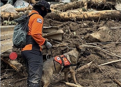 தென் கொரியா வெள்ளம், நிலச்சரிவு: பலி எண்ணிக்கை 23 ஆக உயர்வு!