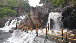 மணிமுத்தாறு அருவியில் குளிக்கத் தடை