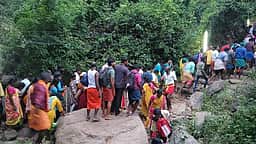 ஆவணி மாத அமாவாசை! சதுரகிரியில் குவிந்த பக்தர்கள்!