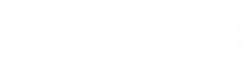 DM Logo White