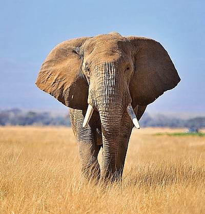 தெரியுமா?