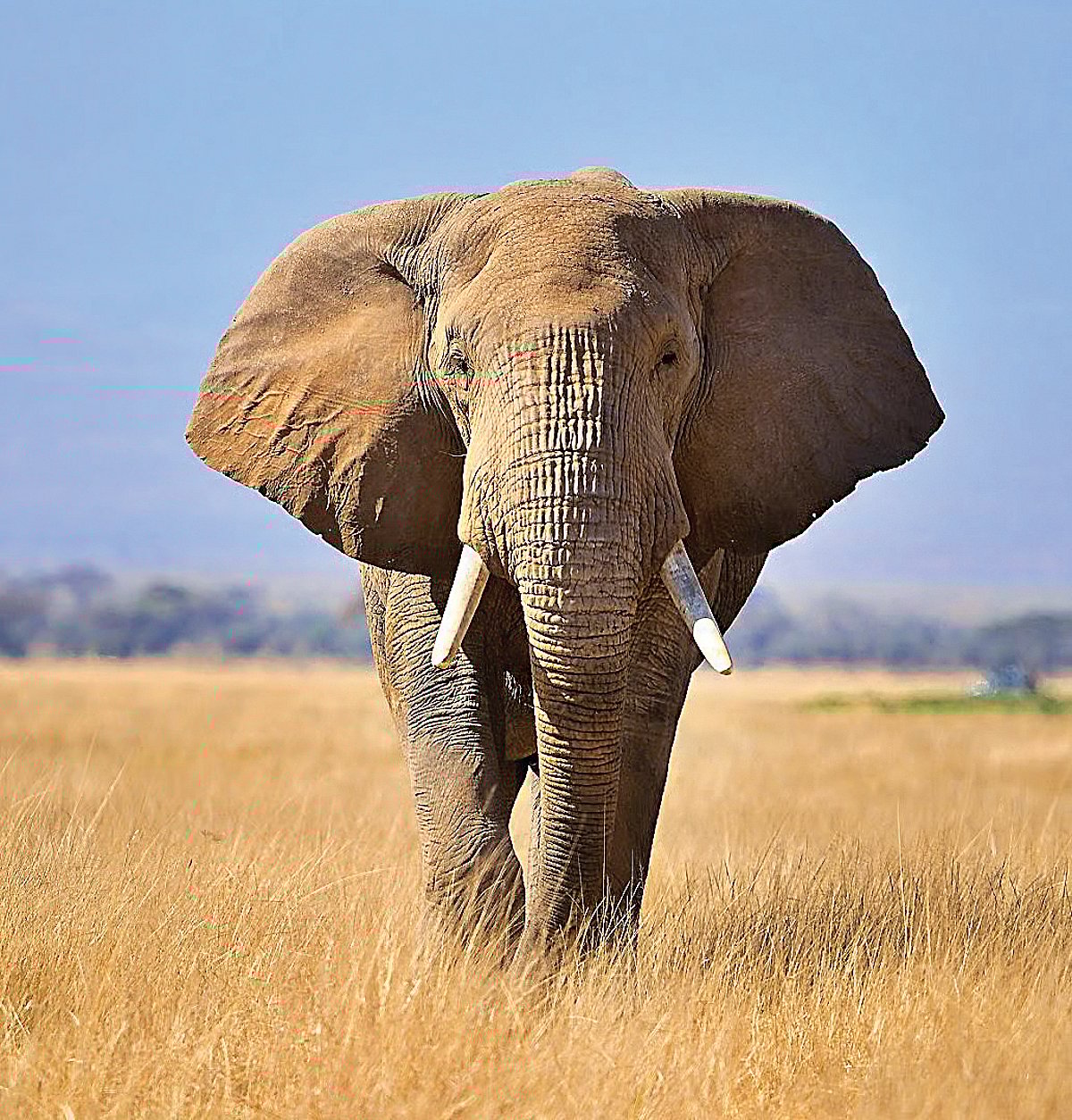 தெரியுமா?