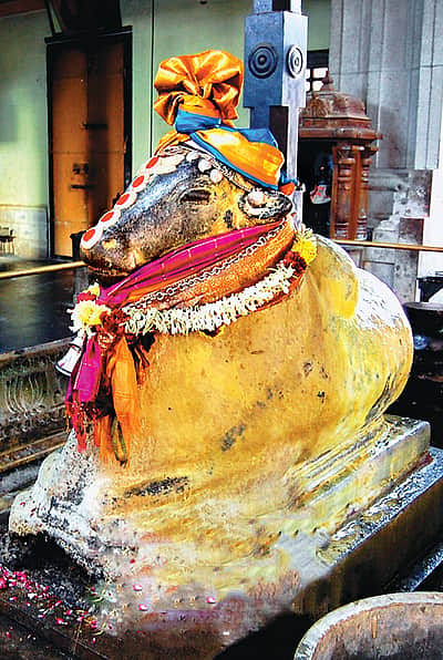 ஊரே நெய் மணக்குது