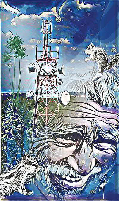 அணில்கள்