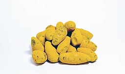 ஒழுங்குமுறை விற்பனைக் கூடங்களில் மஞ்சள் மறைமுக ஏலம்