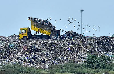 சென்னை மாநகராட்சியில் தாமதமாகும் குப்பைக் கிடங்கு பகுதிகளை வனமாக்கும் திட்டம்!