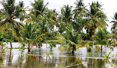 மேட்டூா் அணையிலிருந்து உபரிநீா் திறப்பு: கரையோரப் பகுதி நிலங்கள், வீடுகளில் தண்ணீா் புகுந்தது