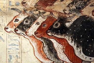 அத்தியாயம் 78 - திணை வாழ்வியலுக்கு முந்தைய தமிழ்ச் சமூகத்தைத் தேடி