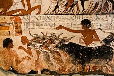 அத்தியாயம் 77 - திணை வாழ்வியலுக்கு முந்தைய தமிழ்ச் சமூகத்தைத் தேடி