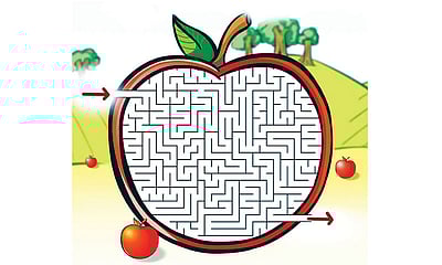 பாருங்கள்...