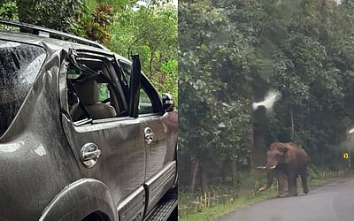 அதிரப்பள்ளி சாலையில் காரை தாக்கிய ஒற்றை காட்டுயானை: சுற்றுலா பயணிகள் பீதி 