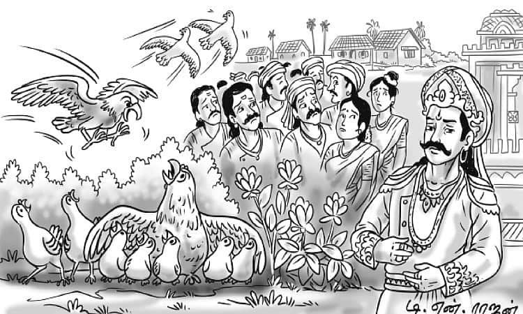 News image