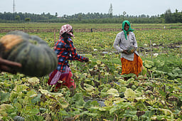 தொகுதி அறிமுகம்: திண்டிவனம் (தனி) - 72!