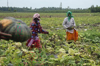 தொகுதி அறிமுகம்: திண்டிவனம் (தனி) - 72!