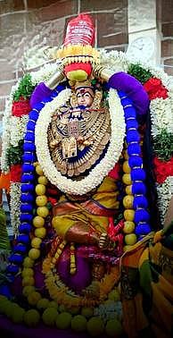 சங்கரன்கோவிலில் ஆடித் தவசுக் காட்சி: லட்சம் பக்தா்கள் தரிசனம்