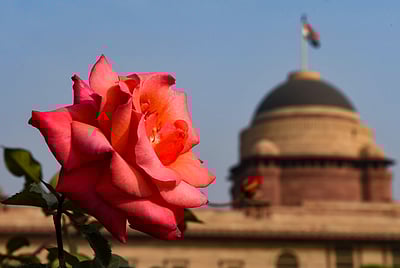 குடியரசு துணைத் தலைவா் தோ்தல் அறிவிக்கை வெளியீடு:  வேட்புமனு தாக்கல் தொடக்கம் 