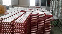 முட்டை விலை 5 காசுகள் உயா்வு