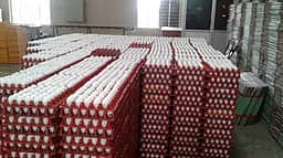 முட்டை விலை ரூ. 4.45 ஆக நீடிப்பு