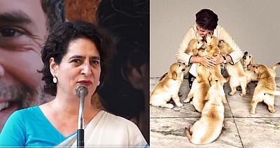 தெருநாய்கள் விவகாரத்தில் மனிதாபிமான வழி தேவை: பிரியங்கா காந்தி