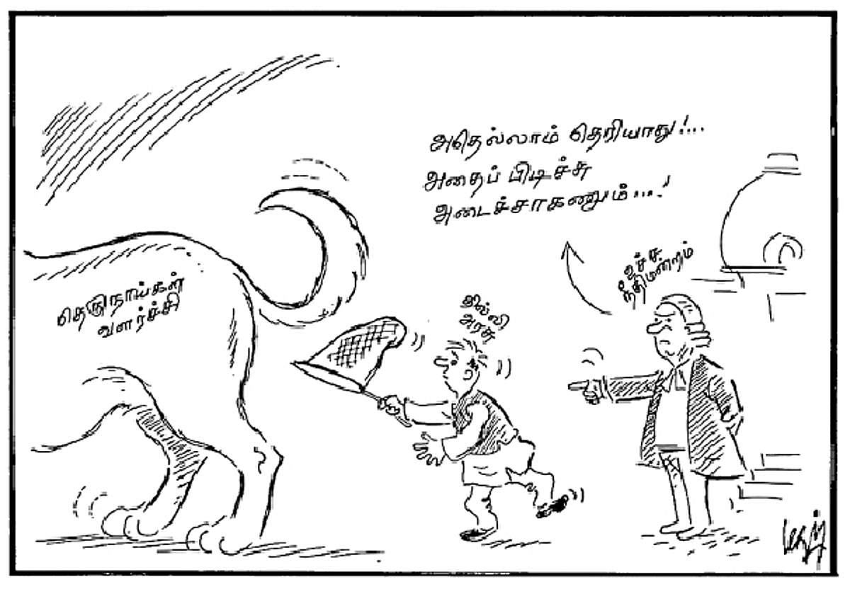 News image