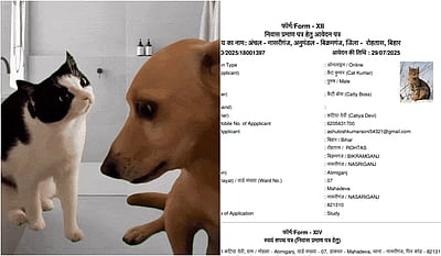 அப்போ டாக் பாபு... இப்போ கேட் குமார்.! பூனைக்கு இருப்பிடச் சான்றிதழா..?