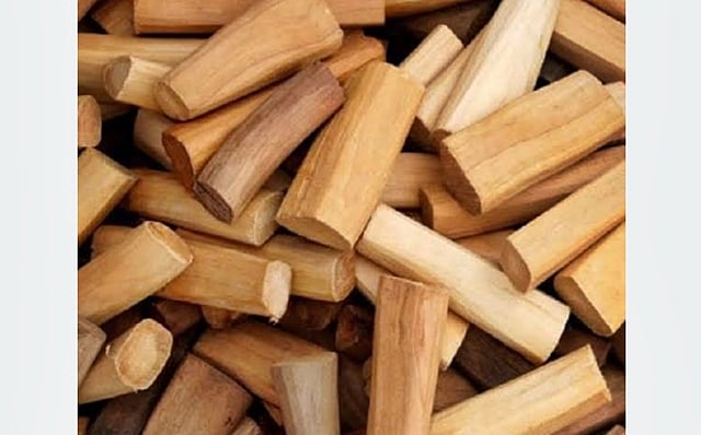 சங்கத்தமிழர் வாழ்வியலில் சந்தனம்!