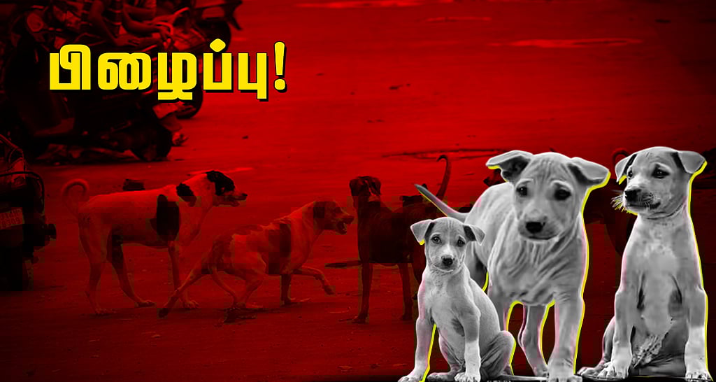 சொல்லப் போனால்... நாய் படும் பாடு!