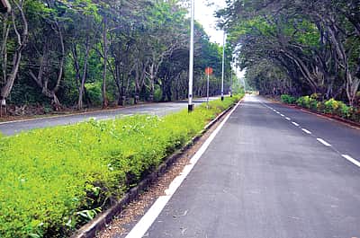 பசுமை வளாகம்...