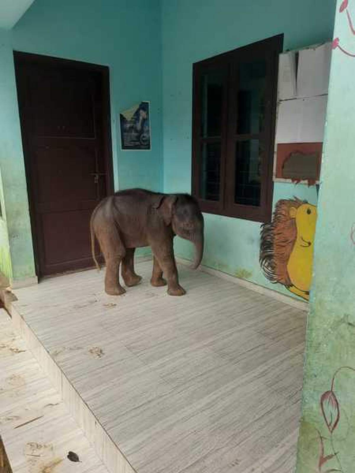 News image