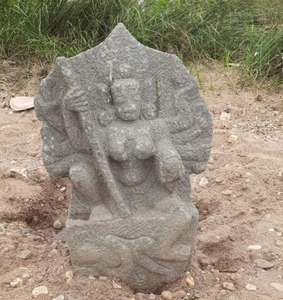 News image