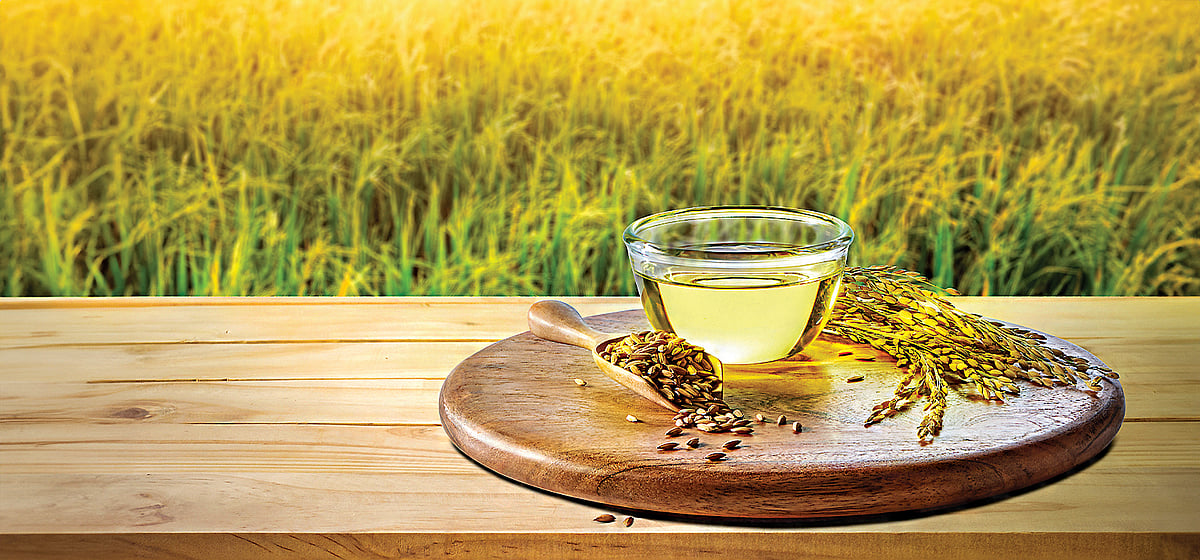 அரிசித் தவிடு எண்ணெய் உடலுக்கு ஏற்றதா?