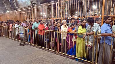 அருணாசலேஸ்வரா் கோயிலில் பக்தா்கள் கூட்டம் அலைமோதல்!
