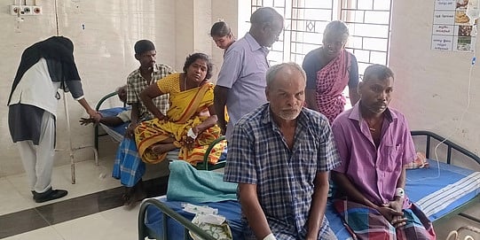 தேனீக்கள் கொட்டியதில் 15 தொழிலாளா்கள் காயம்