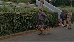 கோவை தபால் நிலையங்களுக்கு வெடிகுண்டு மிரட்டல்