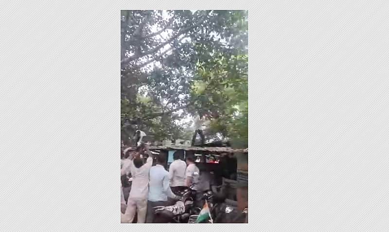 Monkey snatches bag containing Rs 80,000, rains money from tree in UP