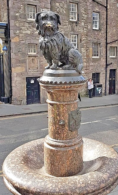 அன்பின் சின்னம் 'பாபி'