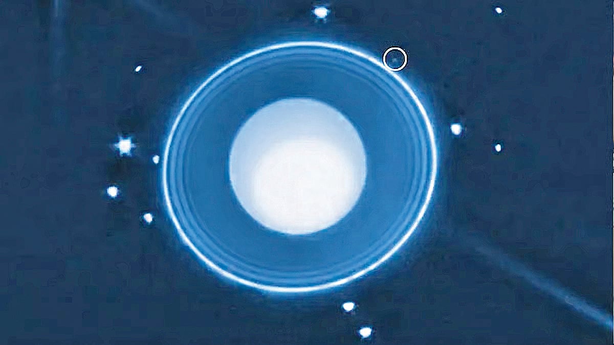 புதிய நிலா!