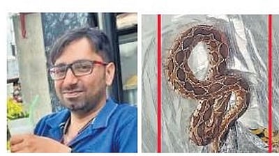 பெங்களுரூ: காலணிக்குள் இருந்த பாம்பு கடித்து மென்பொறியாளர் பலி !    