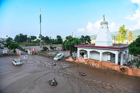 News image
