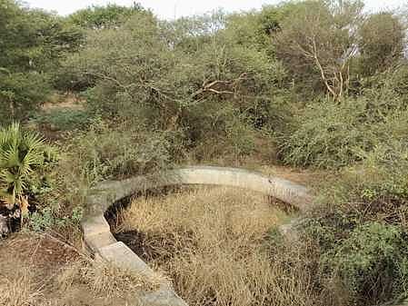 பராமரிப்பில்லாத தண்ணீா் தொட்டிகள்: வனப் பகுதியை விட்டு வெளியேறும் விலங்குகள்